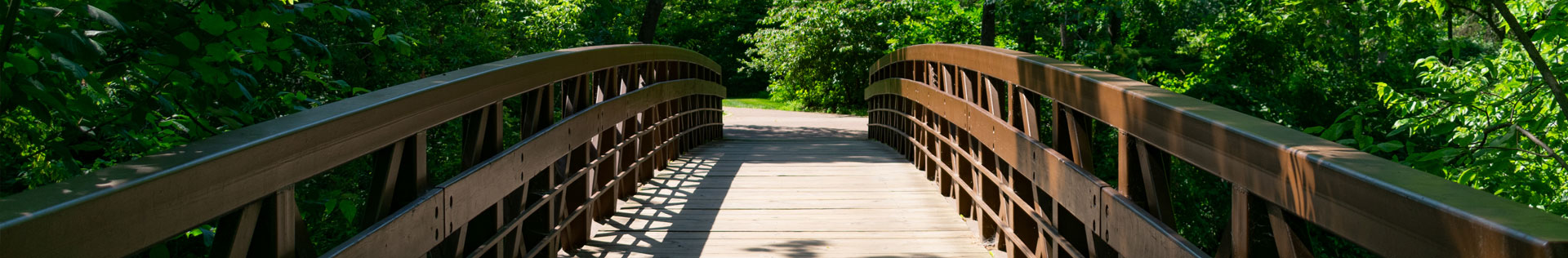 An iron and wood bridge