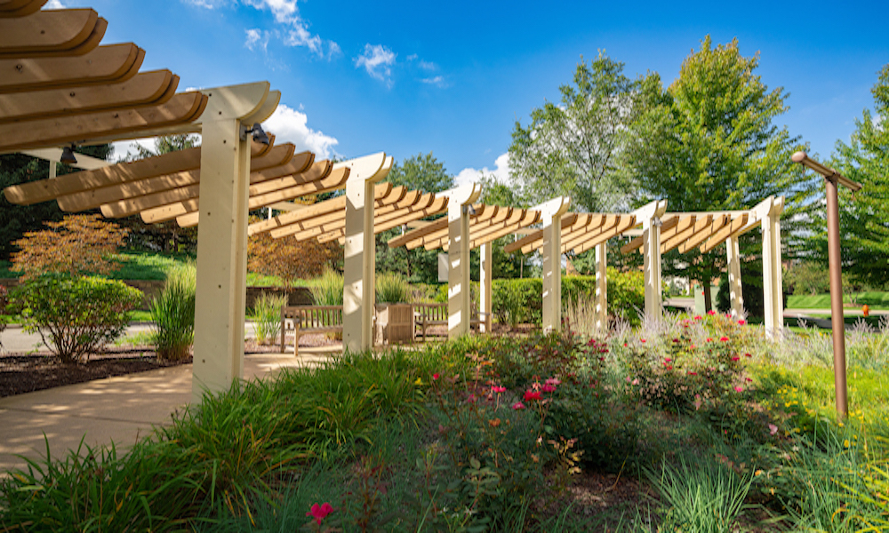 A photo of blooming wildflowers in a field